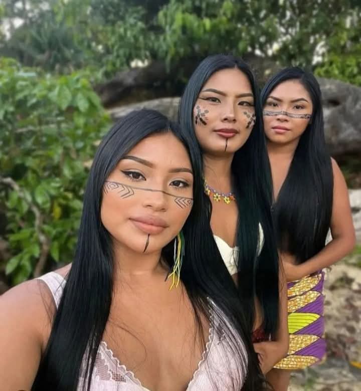 Native American tweet media