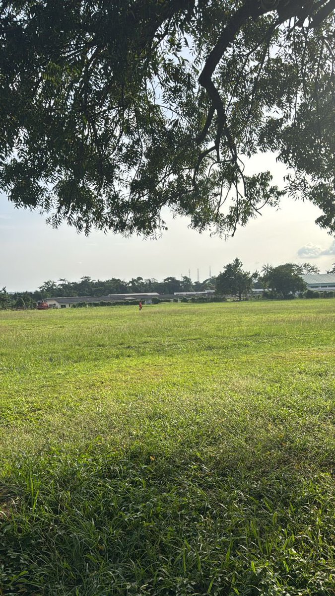 I hope y’all touched grass today