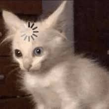 studies_lala's tweet image. estudei o ano todo e no dia antes da prova tô assim