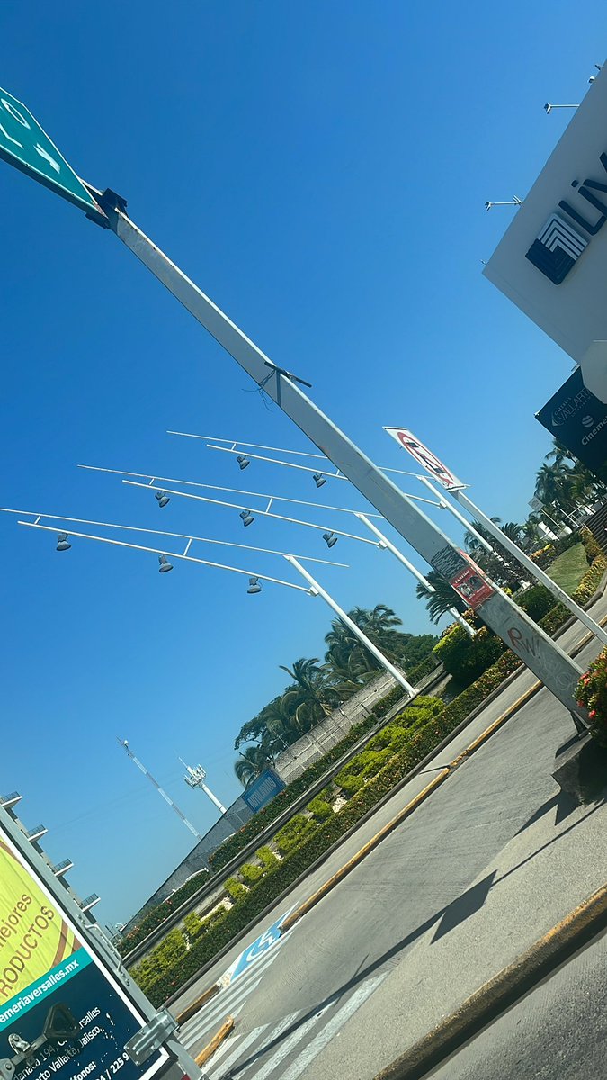 Que hace un single  en Vallarta?
