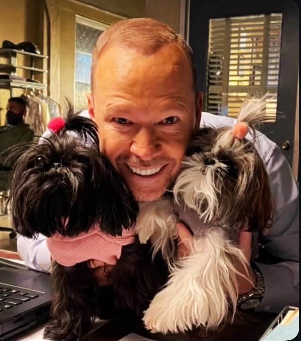 Happy #shihtzusaturday! 🧡🐾

So much cuteness in one photo. 😊🥰

#donniewahlberg #bluebloods #bostonblue #nkotb #thejudys #lady #gucci #shihtzus #bhlove #cutenessoverload #donniegirl #bhcaptain #favedetective <a href="/DonnieWahlberg/">Donnie Wahlberg</a>