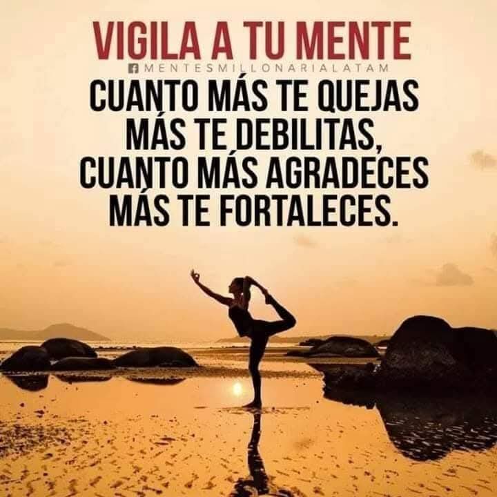 Chilawila 🦋 (@chillie9662) on Twitter photo 