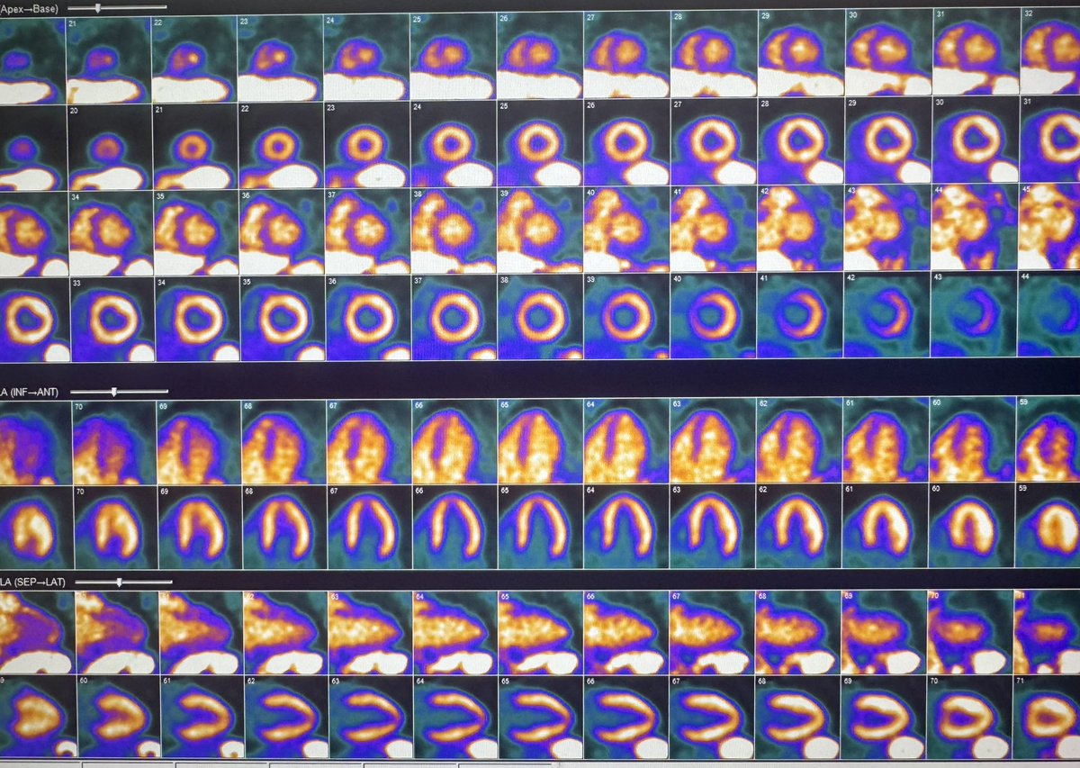 Kelly Laipply, MD tweet media