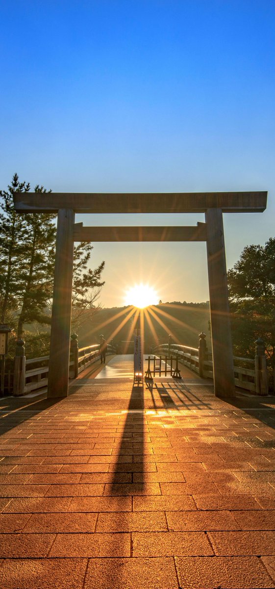 1xHalitx1's tweet image. 金曜日午前のメモ：からっとしてる／静かに過ごしたい。休憩する→昼寝する。マイペースで。