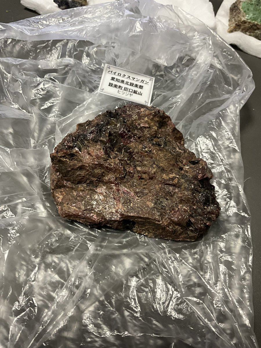 ジャミアン (@vwxyzyamian) / Posts / X