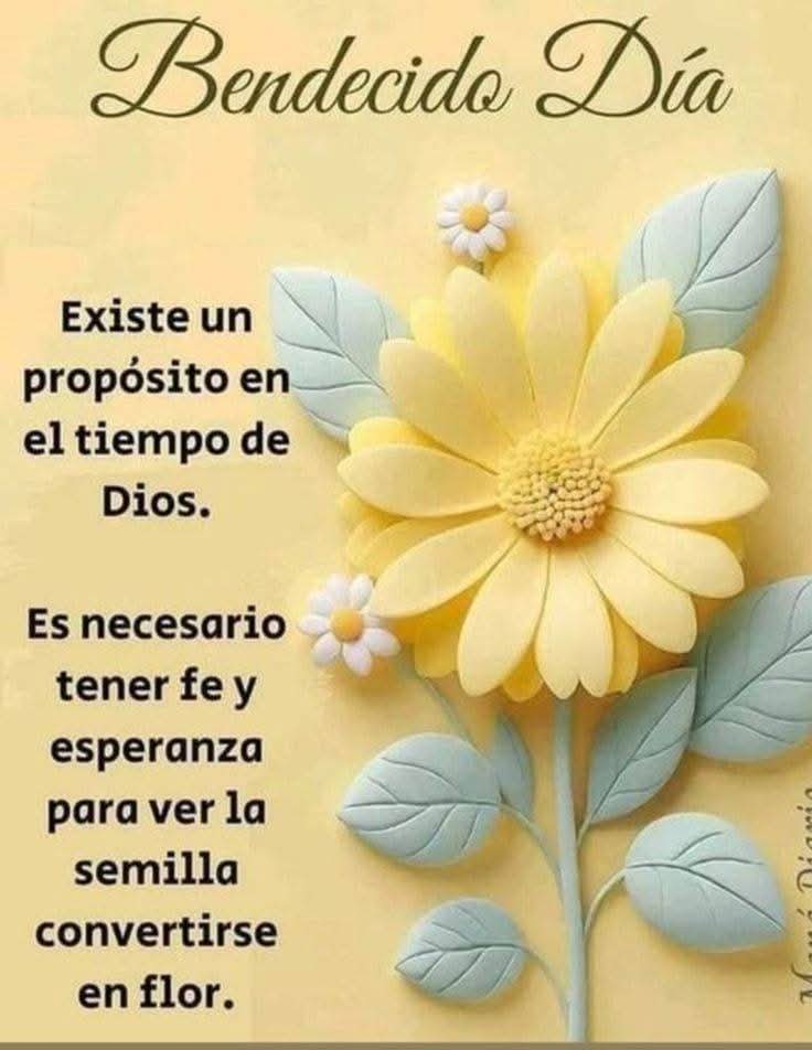 Feliz  y Bendecido día sábado para tod@s! Buenos días