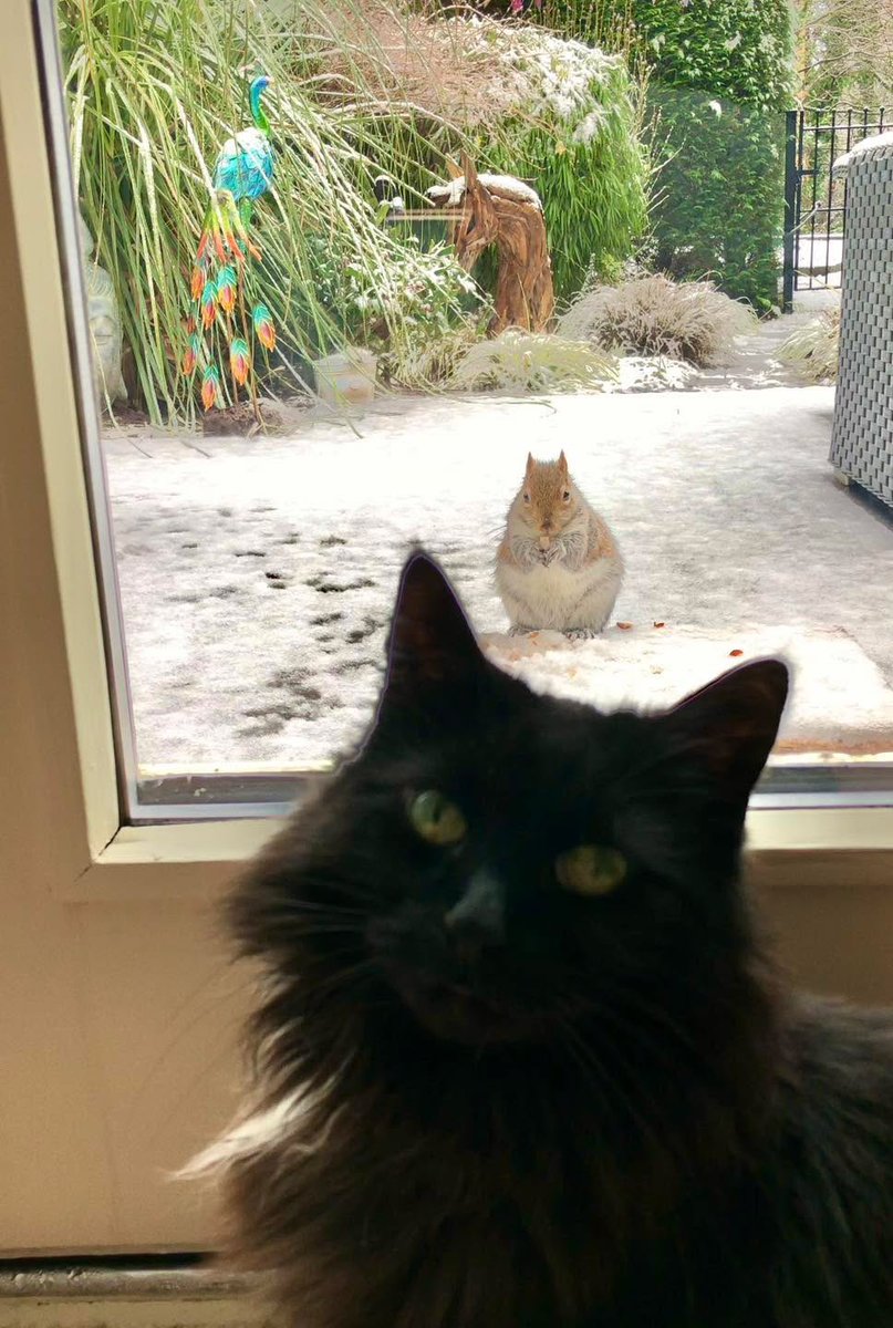 Mr Lumpy & Friends tweet media