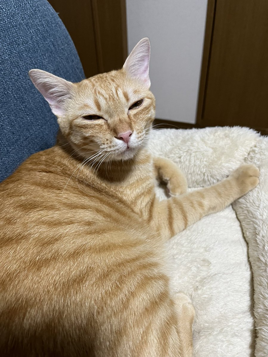 明日です！Jona Jona、年内最後のライブとなります！😂出演は19:45〜の予定です！
明日立川は雨っぽい&amp;少し冷え込むようです😂お越しいただく方々はお気をつけくださいませ！
明日も楽しみだ〜😊😊😊