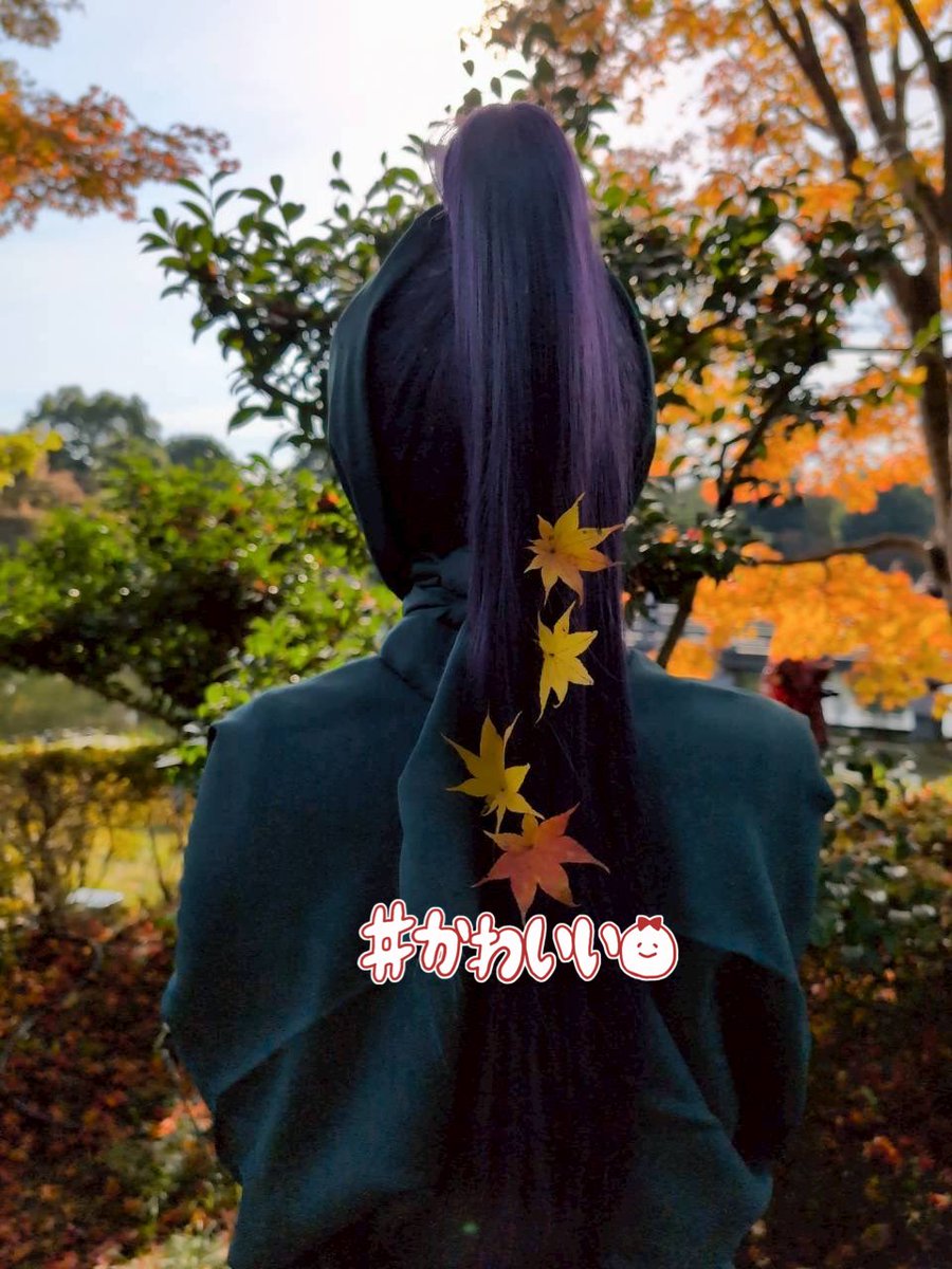 otoneon's tweet image. コスプレ/Cosplay 
今日は仙蔵でしろさんと調合組してきた！
紅葉もイチョウも綺麗だったし伊作が可愛かった🥰
（髪についてるのは落ち葉です🍁）
髪サラサラにできて満足…✨

3.4枚目の撮影&amp;amp;伊作:@yappi_yapirahoi