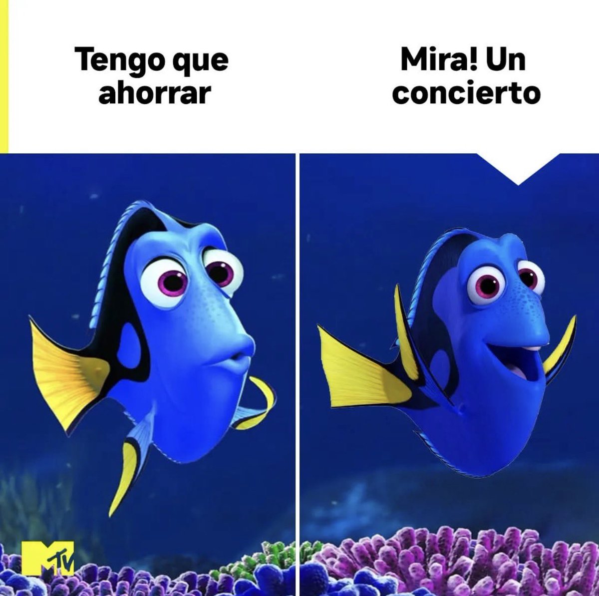 Literalmente soy yo. Ya tengo dos conciertos  para el año que bien y uno para el 2027.