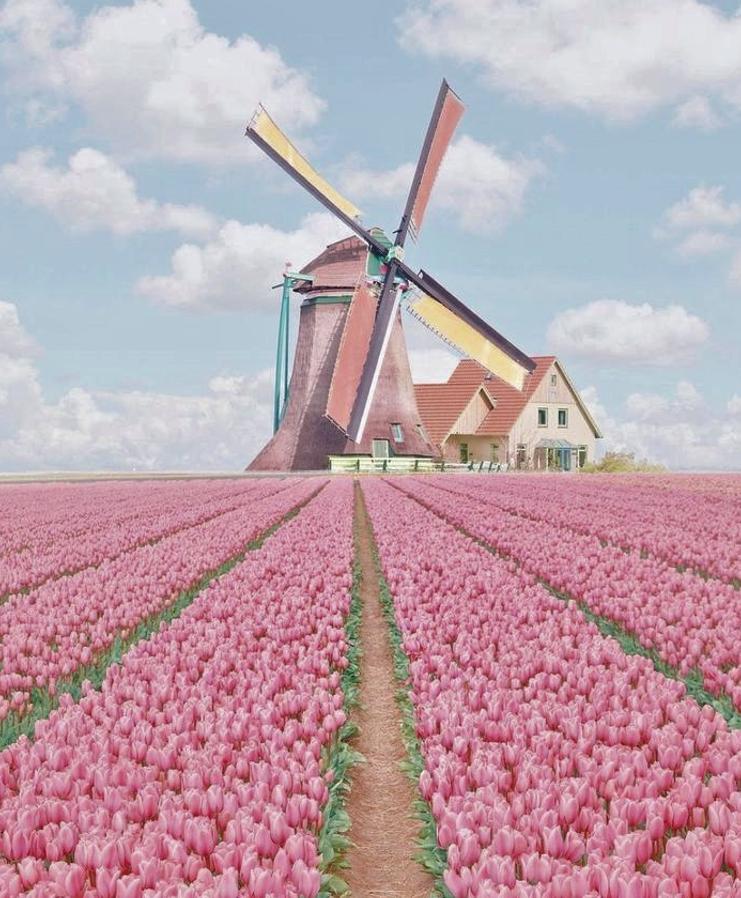 bhoir_nipur's tweet image. 金曜日午前のメモ：晴れ／静かに過ごしたい。作業する→洗濯する。あせらずに。