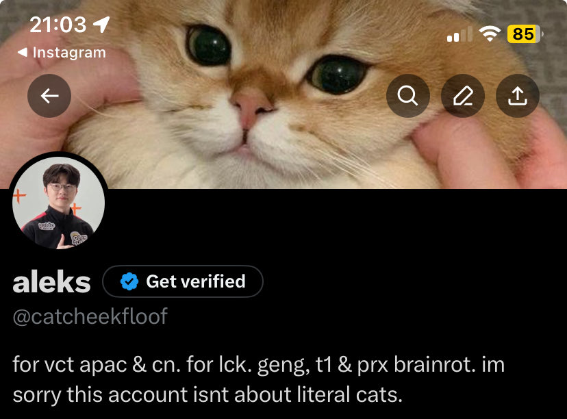 Knave (aleks) tweet media