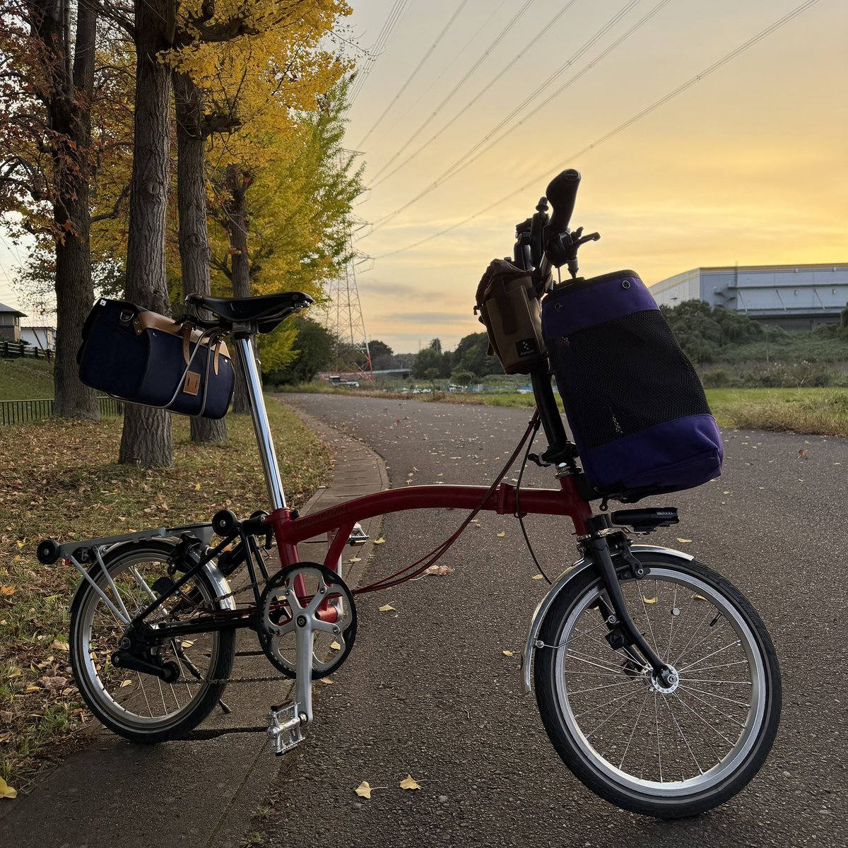 ブロンプトン…