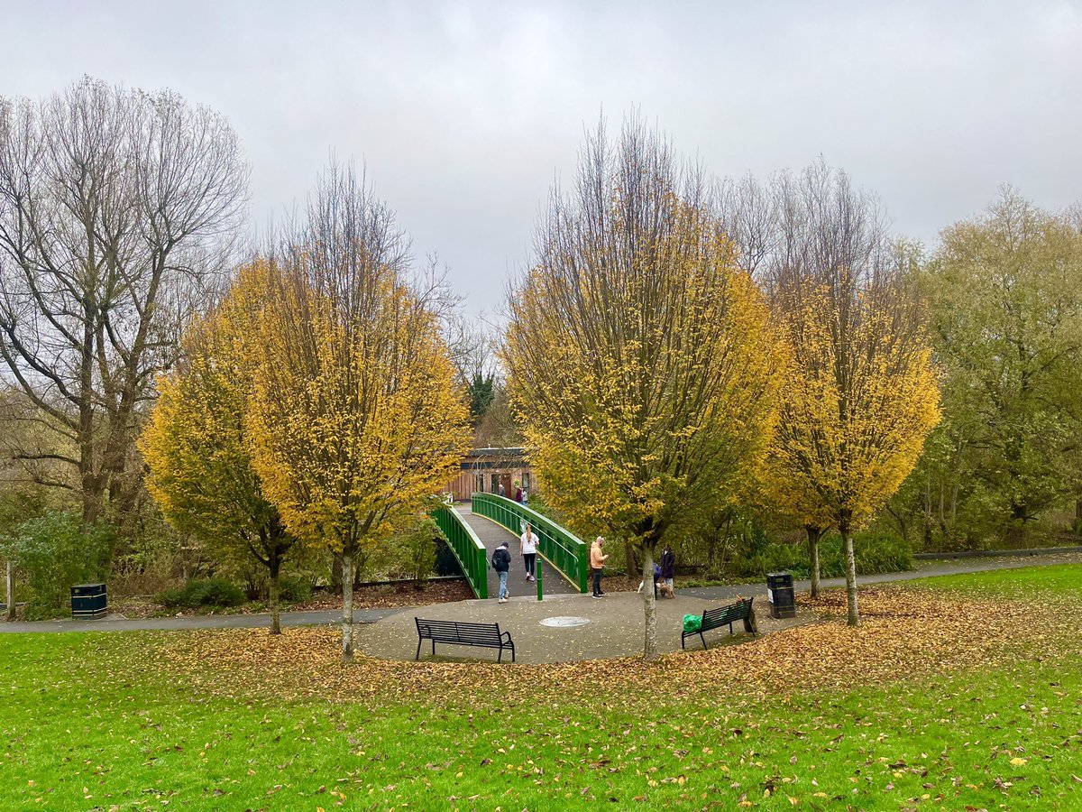 Thanks FOOPers for helping out at the Clear Up morning. 6 of us today. And thanks to <a href="/tasty_bean/">Tasty Bean Cafe</a> cafe for the coffee. ☕️ 👍 Aren’t our hornbeam trees 🌳 by the bridge looking good? 😍 They’ll look even better now that the sun has come out!