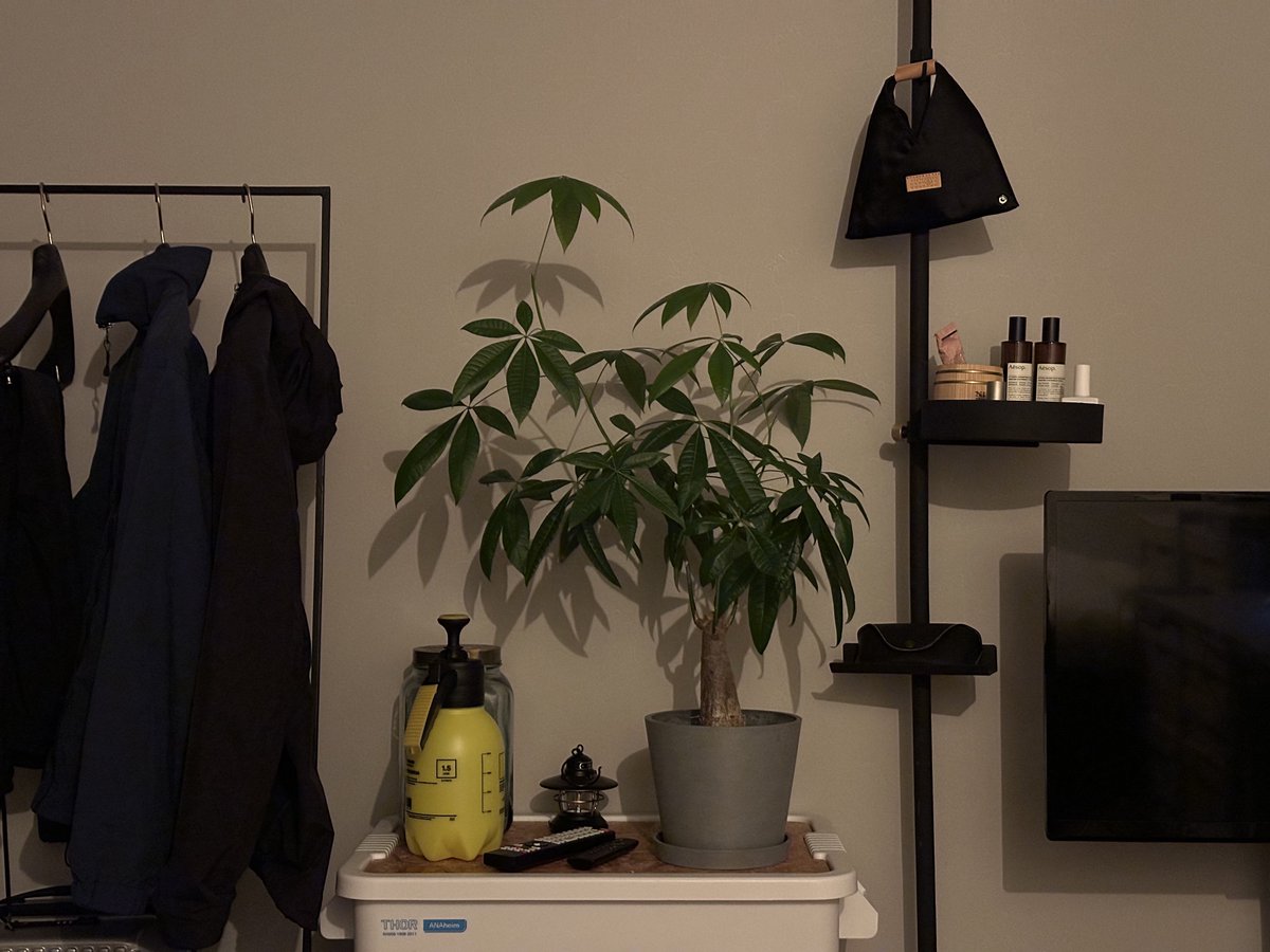 _e___n's tweet image. 外でめちゃめちゃ酒飲むのに、家でめちゃめちゃ酒飲まない