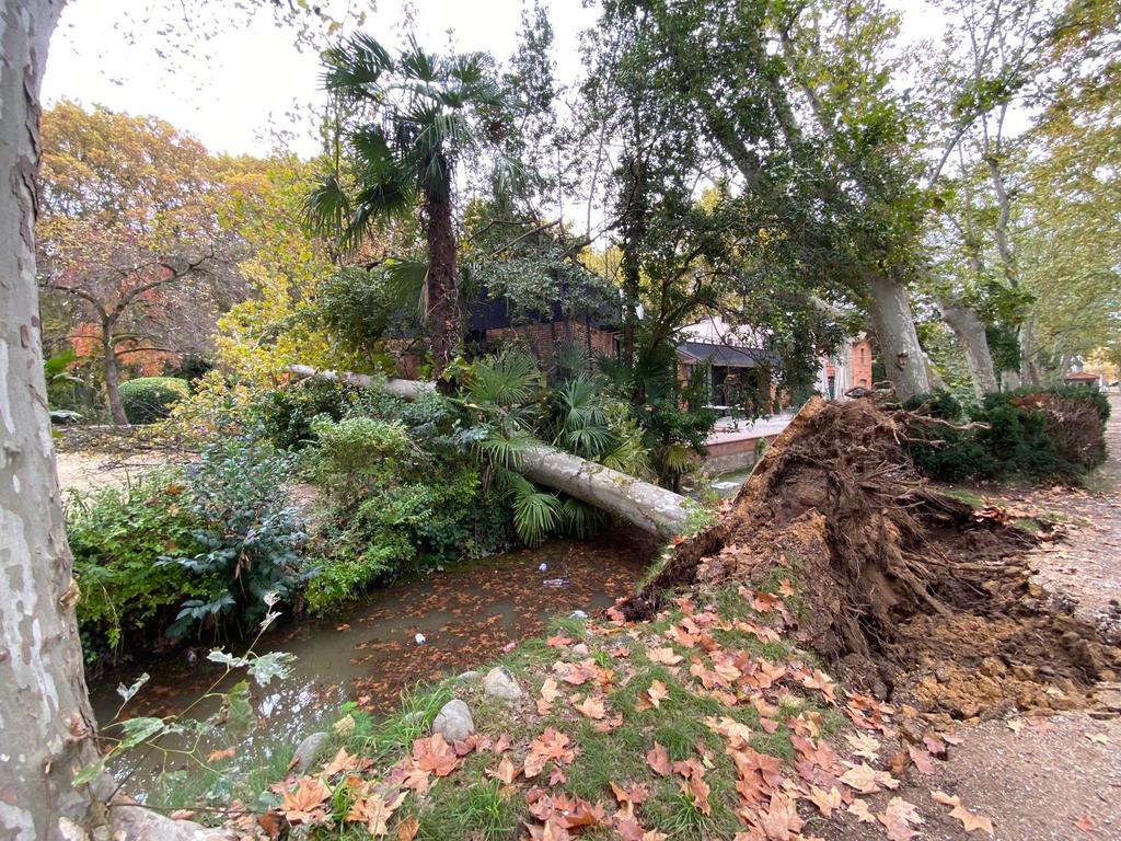 Ajuntament de Girona tweet media