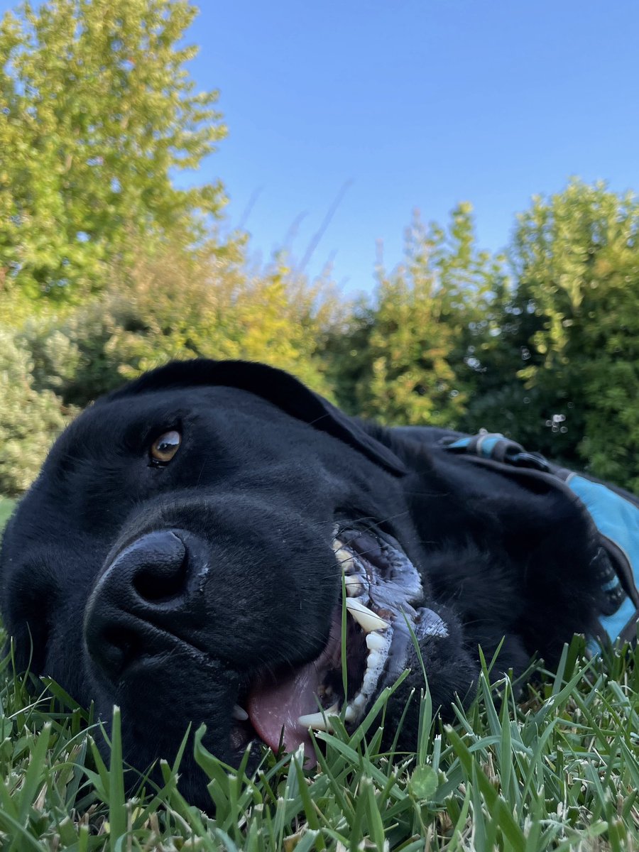 Passerai una vita a mancarmi, ma va bene, ho potuto amarti per tutto il tempo della tua