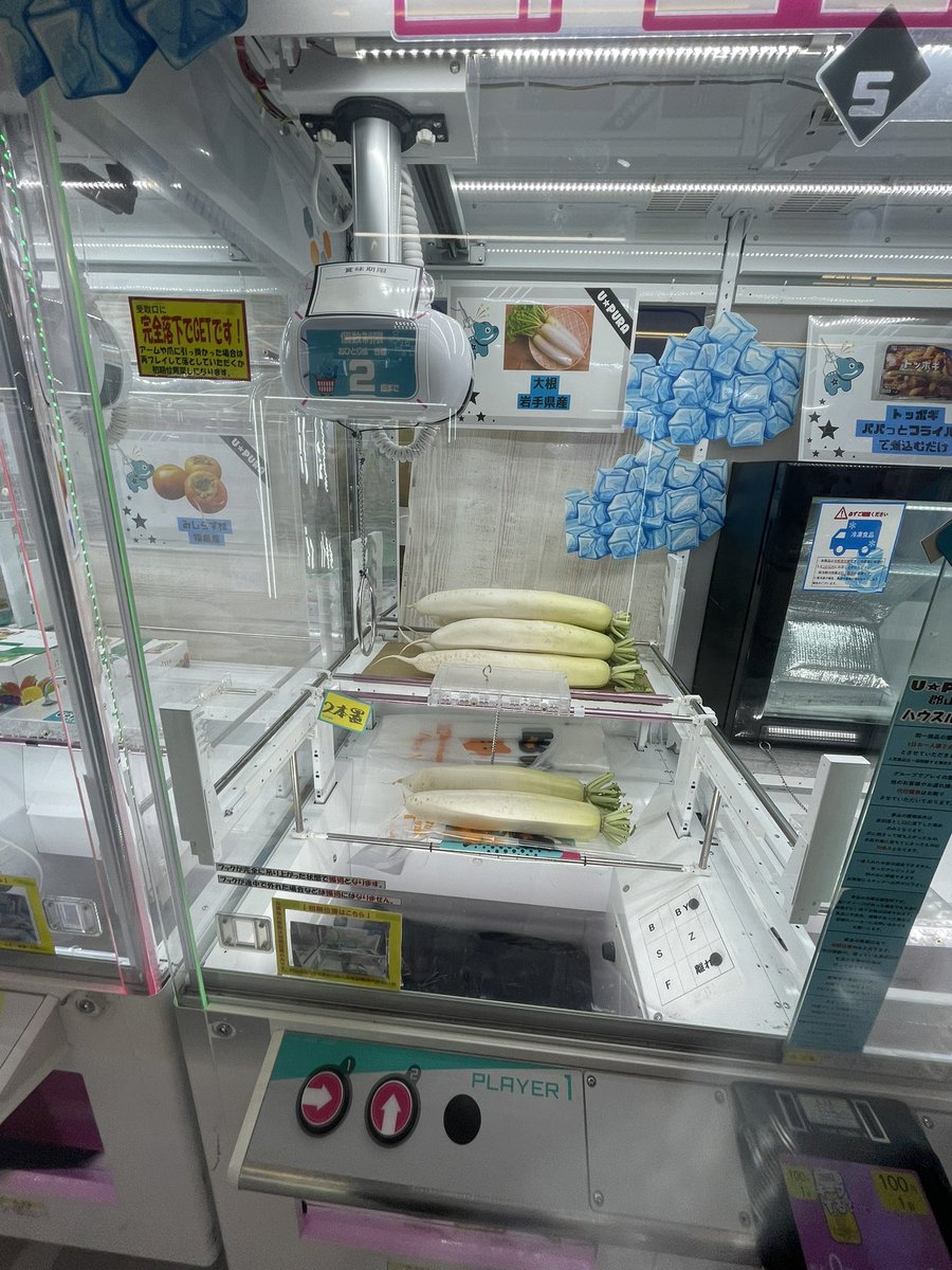 はくさいと大根？