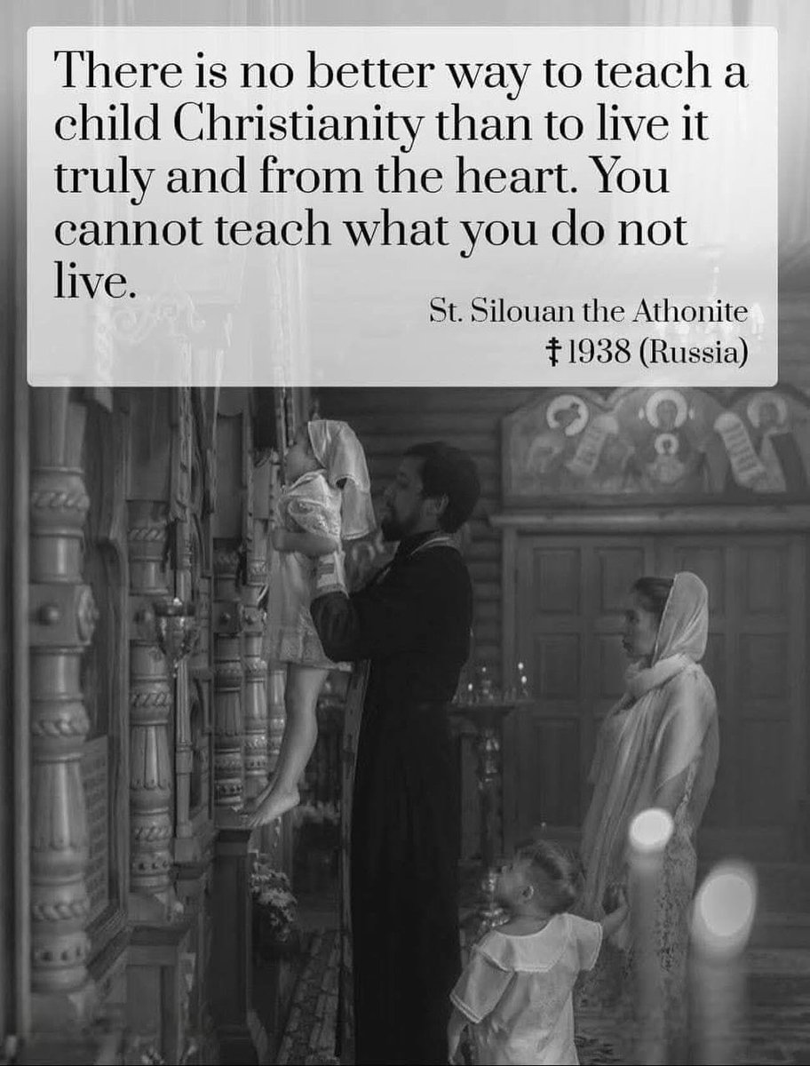 FrLillie's tweet image. 