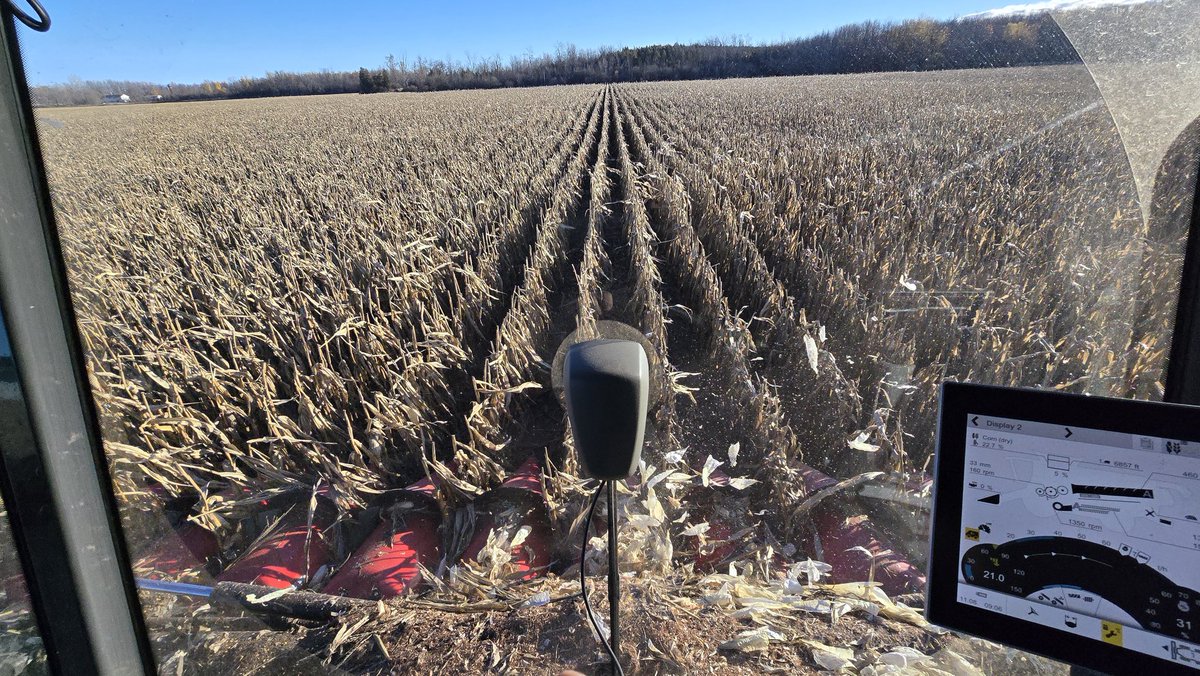 Sun is shining.   Snow is coming.   Harvest rolls on.   #ontag