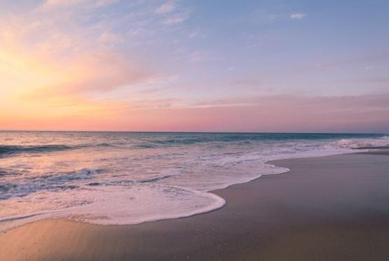 IsabellePuna's tweet image. 月曜日午後のメモ：風強め／落ち着く。作業する→洗濯する。あせらずに。 💪