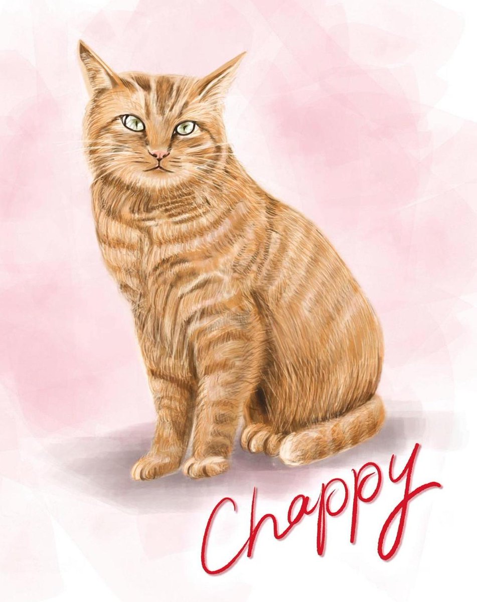 Chideeema's tweet image. 火曜日夕方のメモ：雨／リフレッシュ。
掃除する→動画見る。少しずつ前へ。 📦 🍜