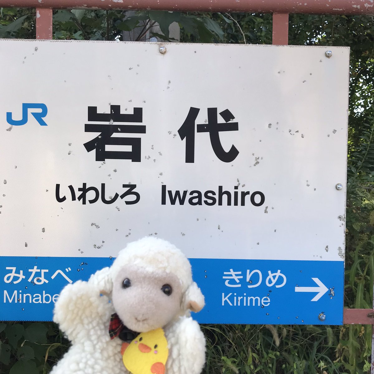 みっちゃん【公式】 (@mitchan5) / Posts / X