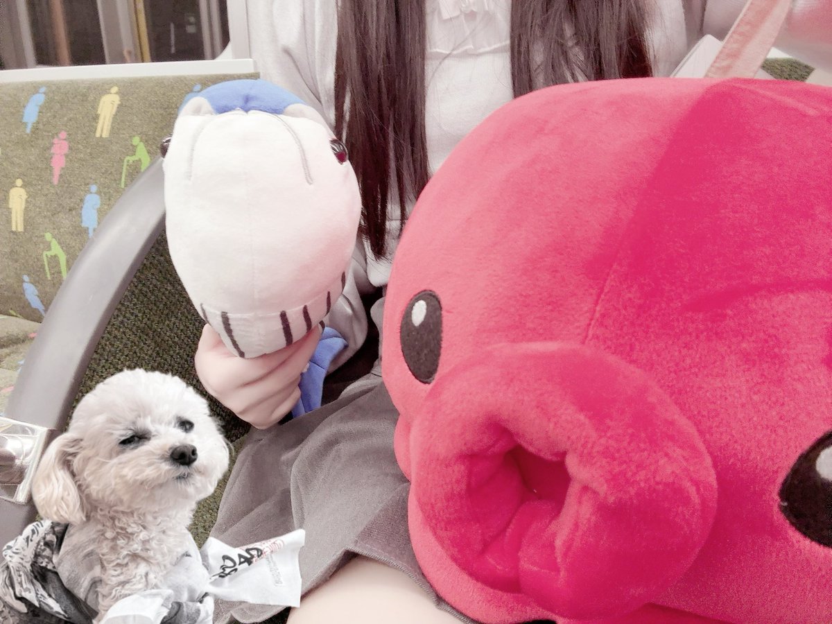 うちゃん (@uchanniconico) / Posts / X