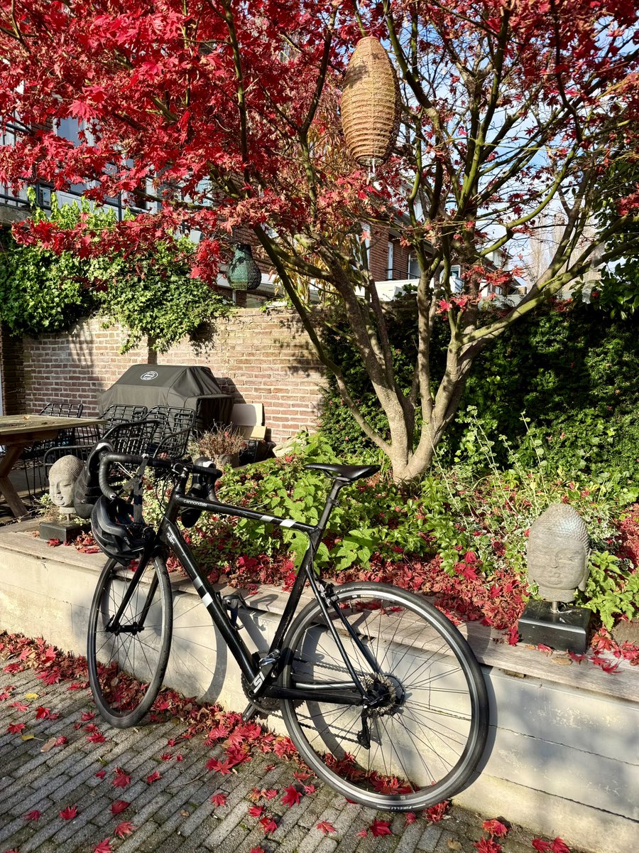 Going for a ride 🍂 ☀️