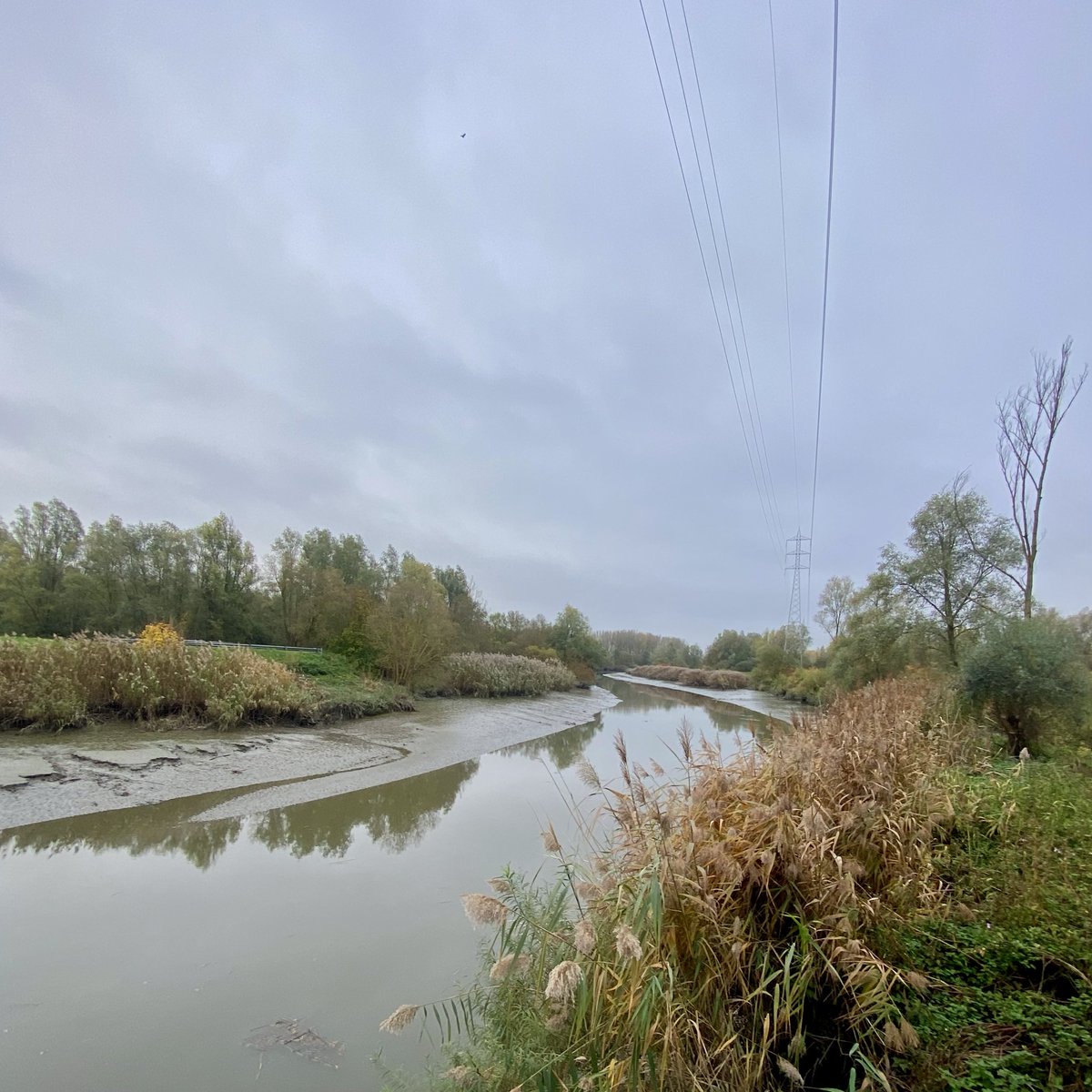 #vrtweer <a href="/Weerbord/">Weerbord☀️☔️</a> <a href="/MeteovistaBe/">meteovista.be</a> <a href="/HetweerinBelgie/">Meteo Reni - Het weer in België</a> <a href="/BuienradarBE/">BuienradarBE</a> <a href="/HendrikRemue/">hendrik.remue@gmail.com</a> 
Schelde Heusden, 
08/11, 14.09,