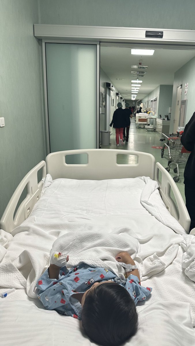 Polatmania tweet media