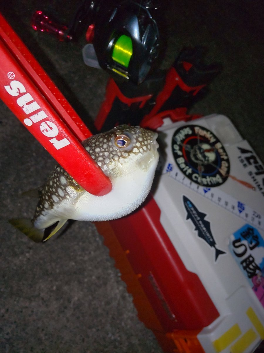 hanimal46's tweet image. 撃沈😒

撤収ー！

#南方作戦
#お二人様