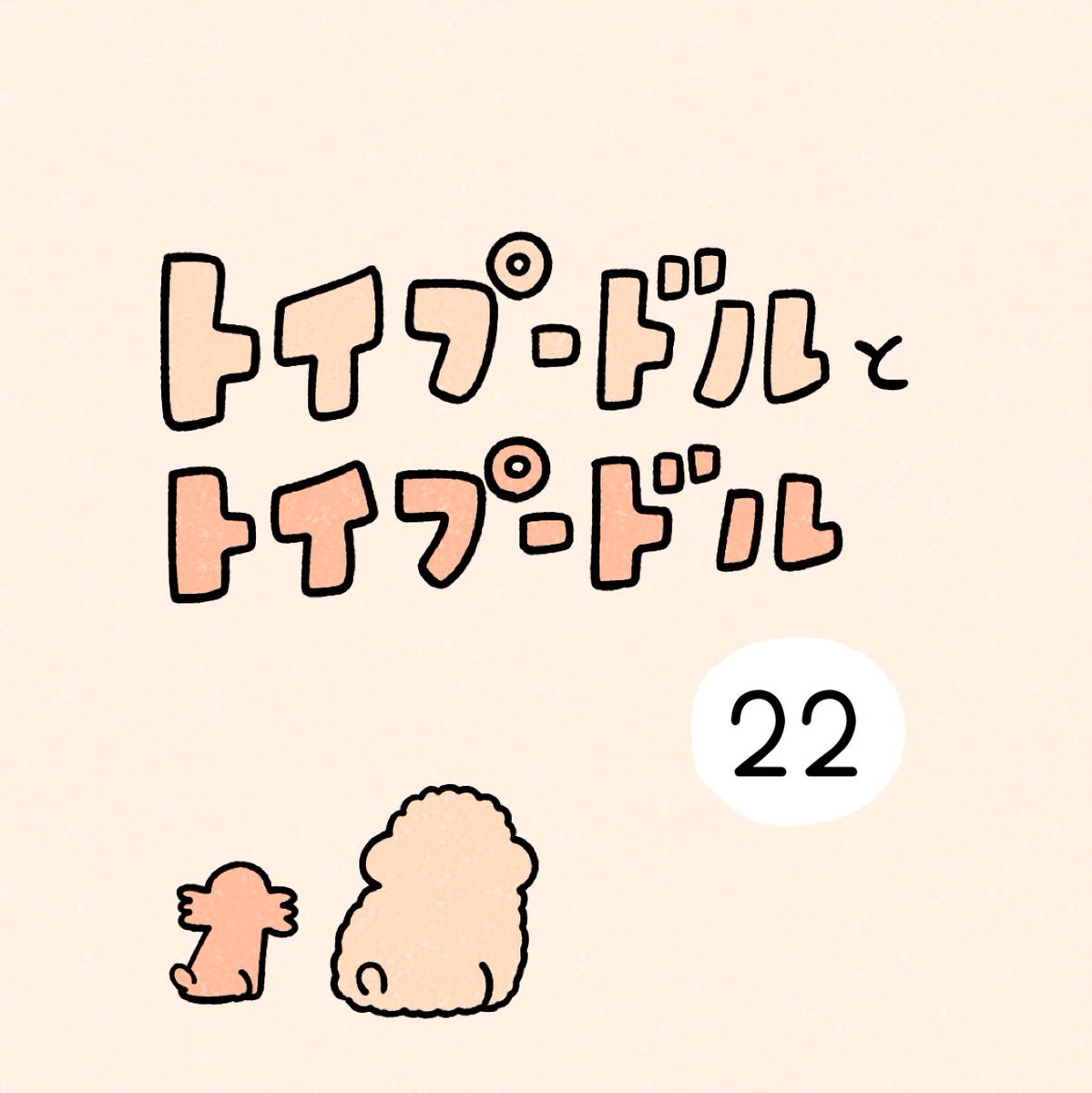 トイプードルとトイプードル22 