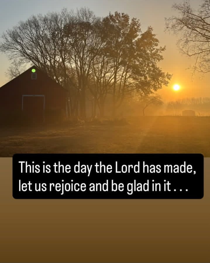 mypanhandle's tweet image. 