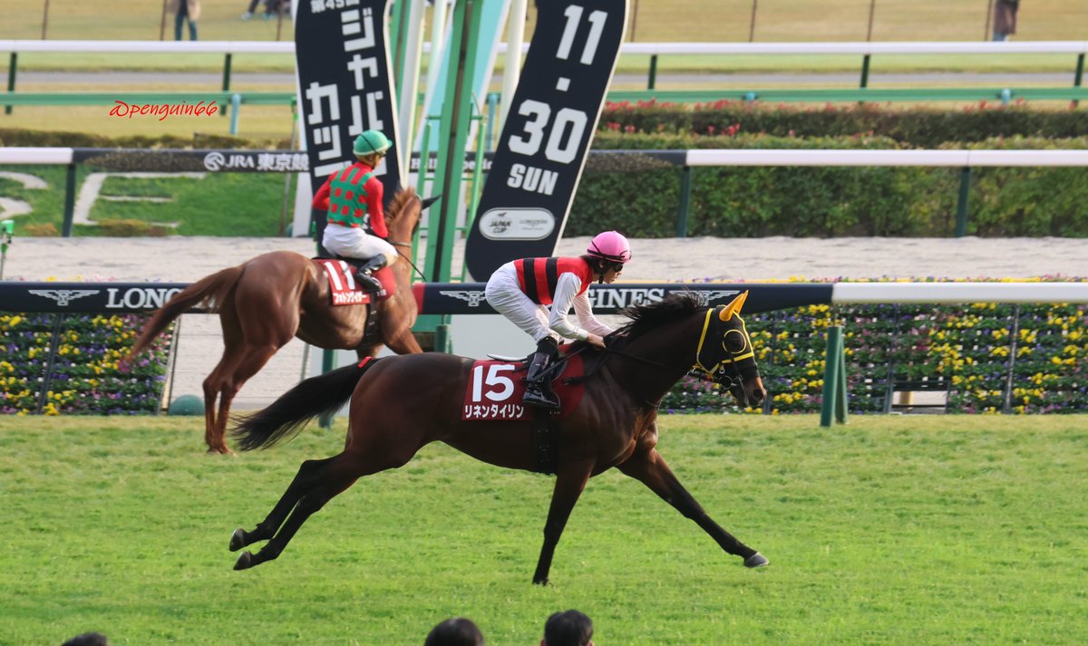 ぺんぎんさん🐧 on X