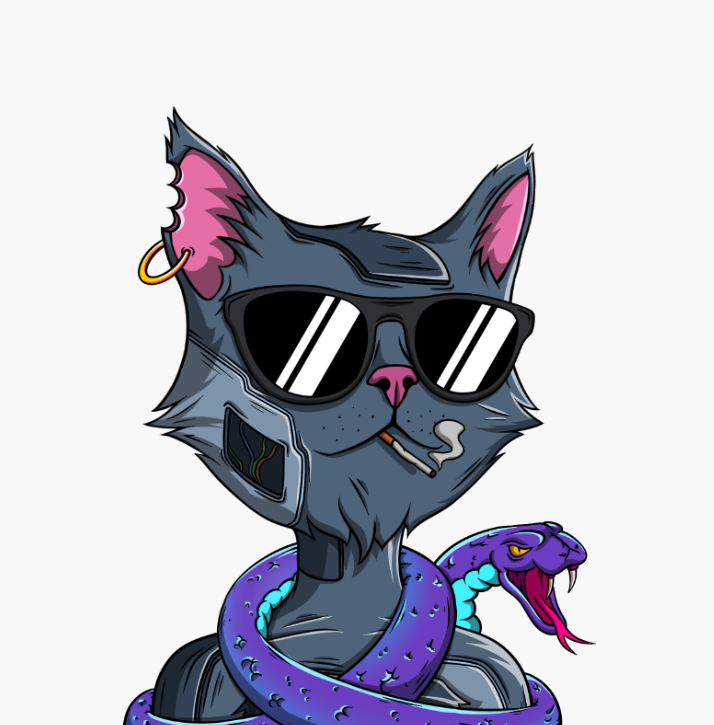 The Elite Cats tweet media