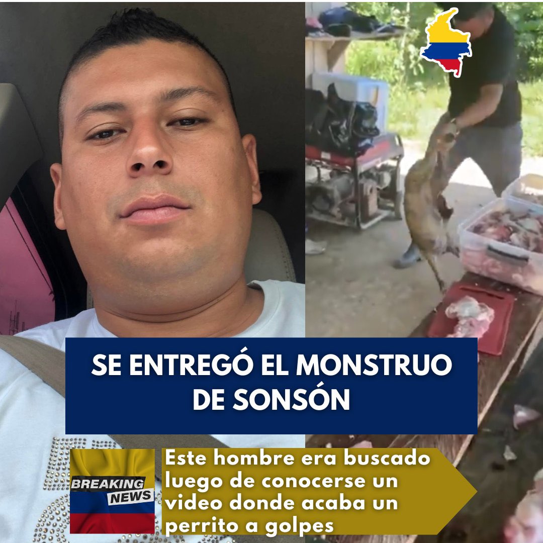 FisicoImpuro's tweet photo. Sabe que es lo más cínico y descarado que he visto esta semana? Ver a los uribistas indignados por el miserable de Fernando Oviedo que mató a un perrito estrellándolo contra el suelo, mientras que al mismo tiempo le llenaron el Movistar Arena a un tipo que mataba gatos con pólvora por diversión “de buena fe y sin dolo”, como él mismo lo dice en el video. VÉANLO