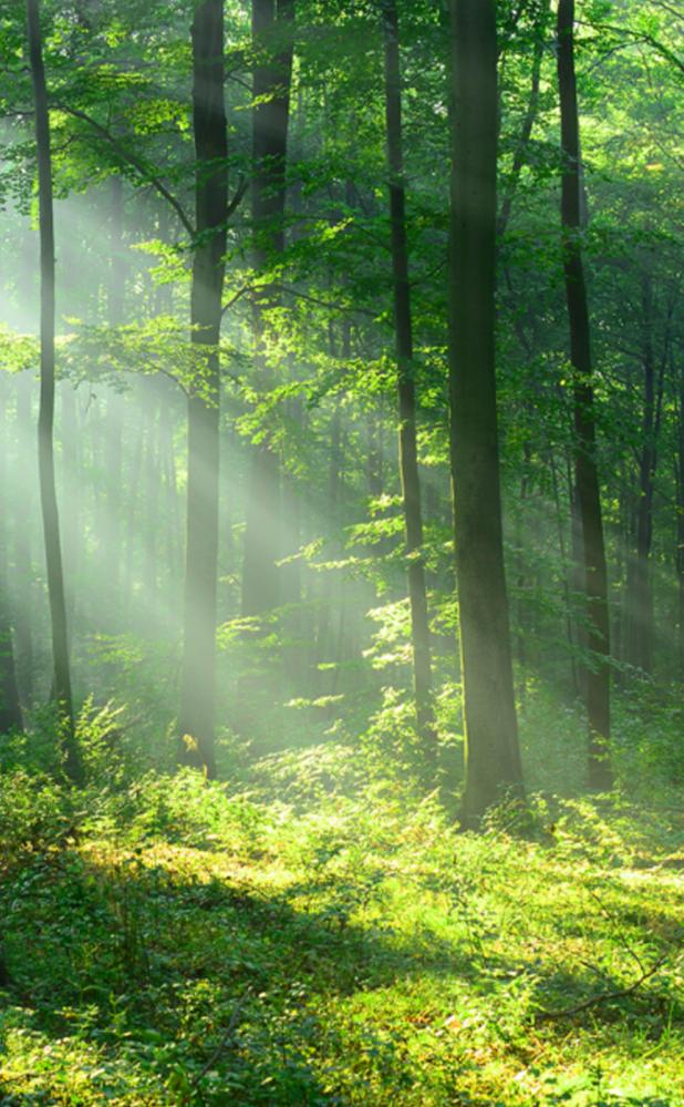 木曜日昼のメモ：曇り／落ち着く。
掃除する→音楽を聴く。少しずつ前へ。