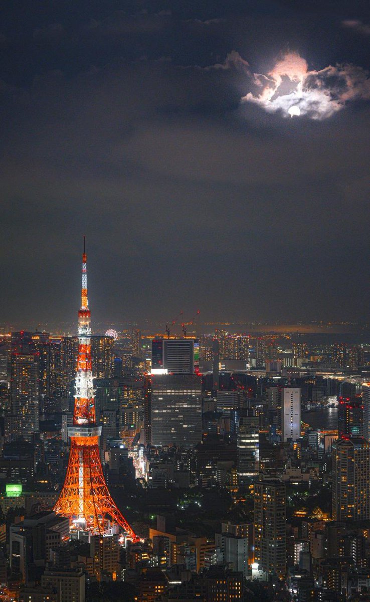 LChatroux's tweet photo. 月曜日昼のメモ：曇り／わくわく。散歩する→掃除する。今日もこつこつ。 📝 https://t.co/RTa7OR0BvM