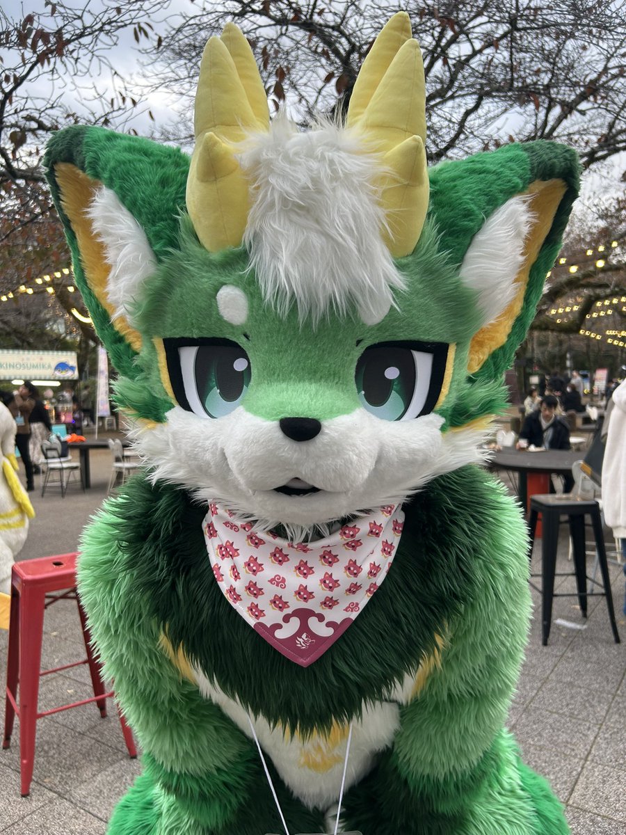 Gabudigi_8940's tweet photo. 散策してる時で悠草くんに初めて会ったんだけど、あまりにも可愛すぎて惚れてしまった🫣
#kemocon18 https://t.co/5f9GQ856l9