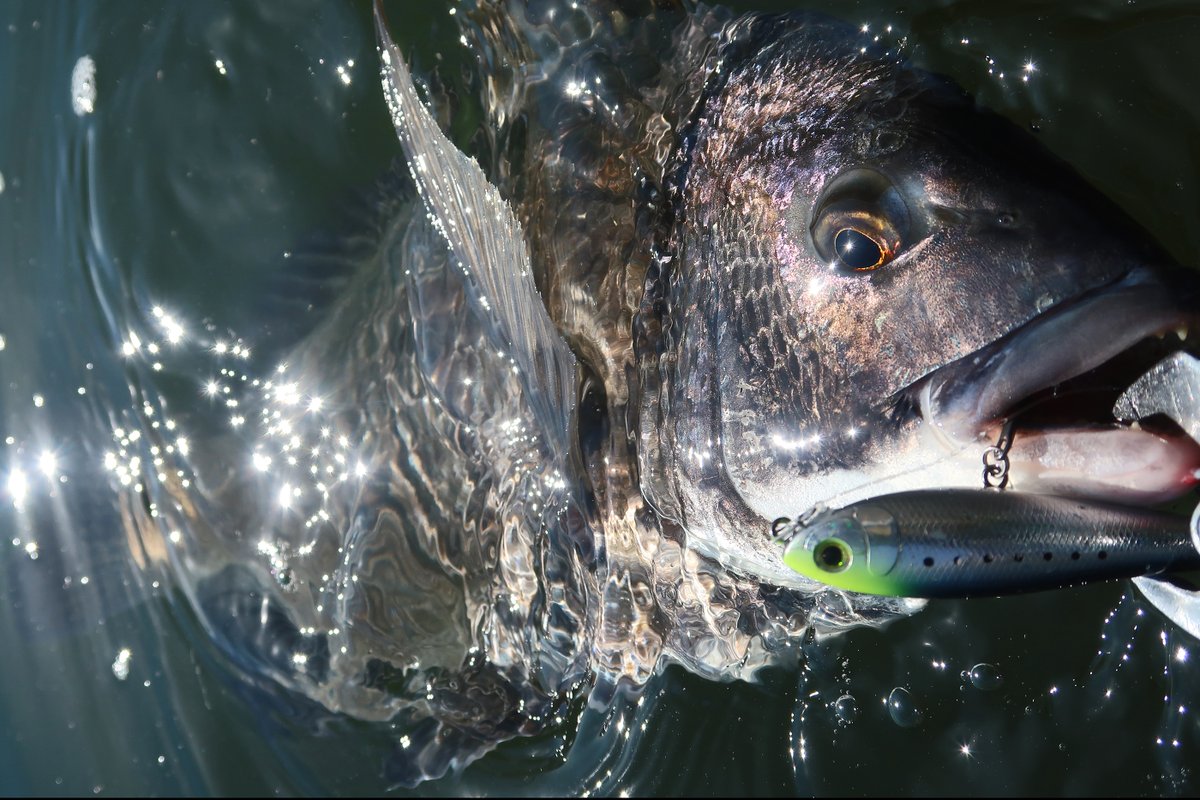 【もりぞー】 もりぞー on X