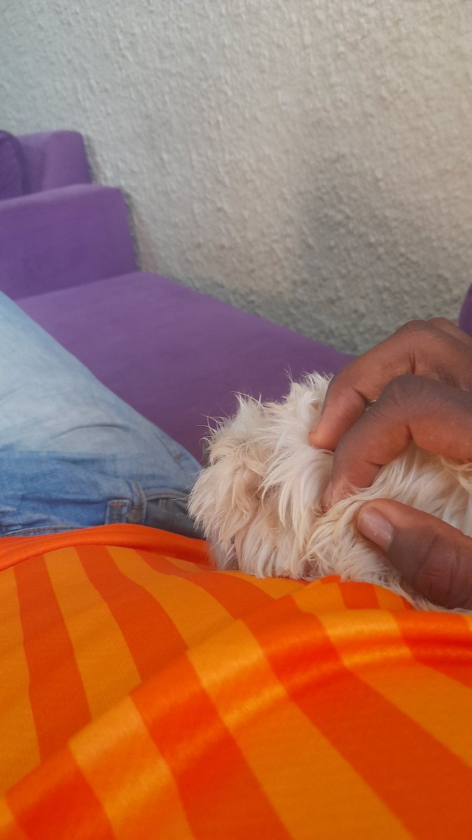 Bored but i have a dog