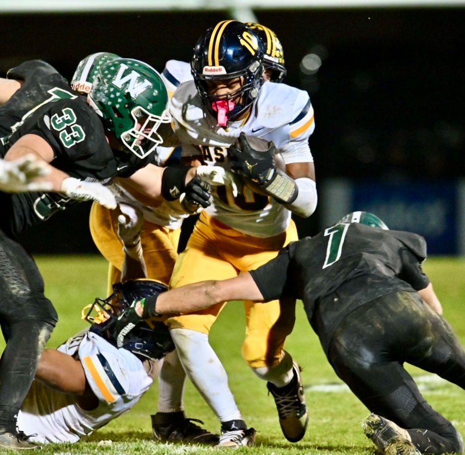 LansingNewsWire's tweet image. WILLIAMSTON, MI (11-7-25) — Coach Steve Kersten’s Hornets explode for 35 in the 2nd half to beat Haslett 42–21. Williamston hosts undefeated Goodrich (2024 D4 champs) in the Regional Final next week.
#Williamston #Haslett #Goodrich #MHSAA #RegionalFinal #TeamArreguin l