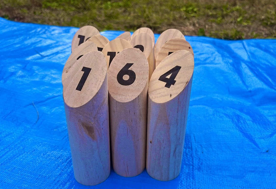 link_tsuyu's tweet image. モルック大会めちゃくちゃ楽しかった！！
そして、最高のチームで優勝できました🏆