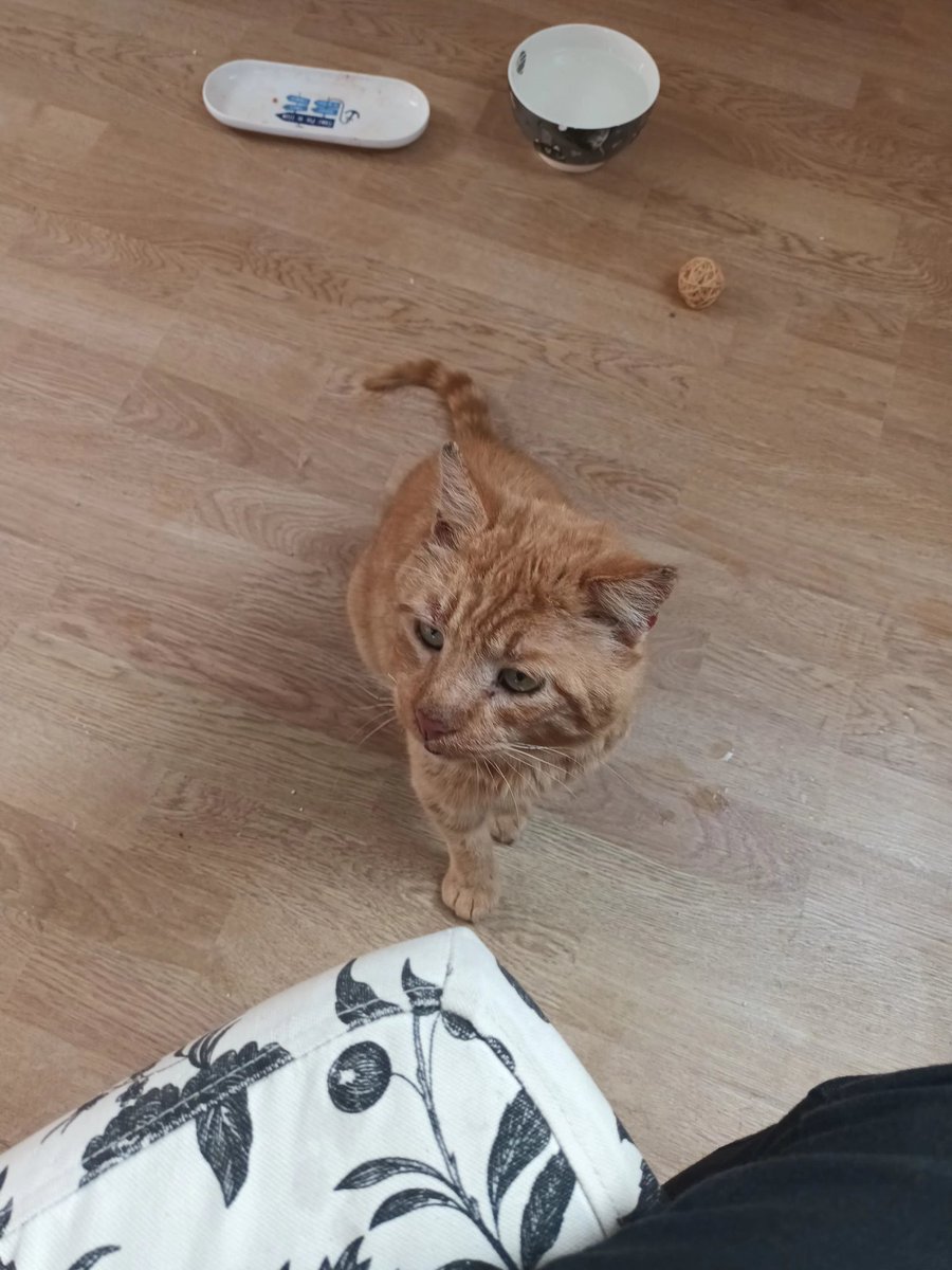 <a href="/justineducern/">justine44</a>