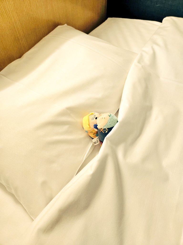 ひよ子 (@hiyoko_ZS1132) / Posts / X