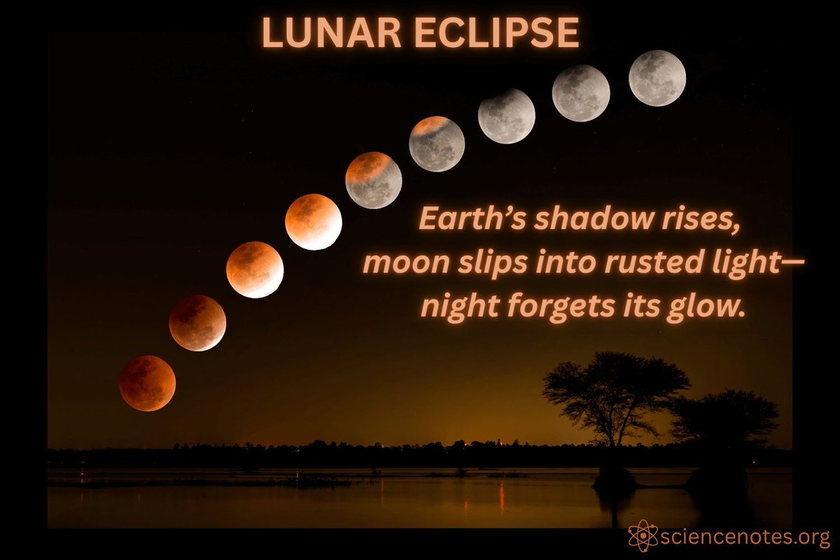 azareal's tweet image. During a lunar eclipse, Earth blocks sunlight from reaching the Moon. Refracted light colors the Moon red—turning night into a cosmic show.
#ScienceHaikuSaturday #LunarEclipse #Astronomy #BloodMoon #Eclipse