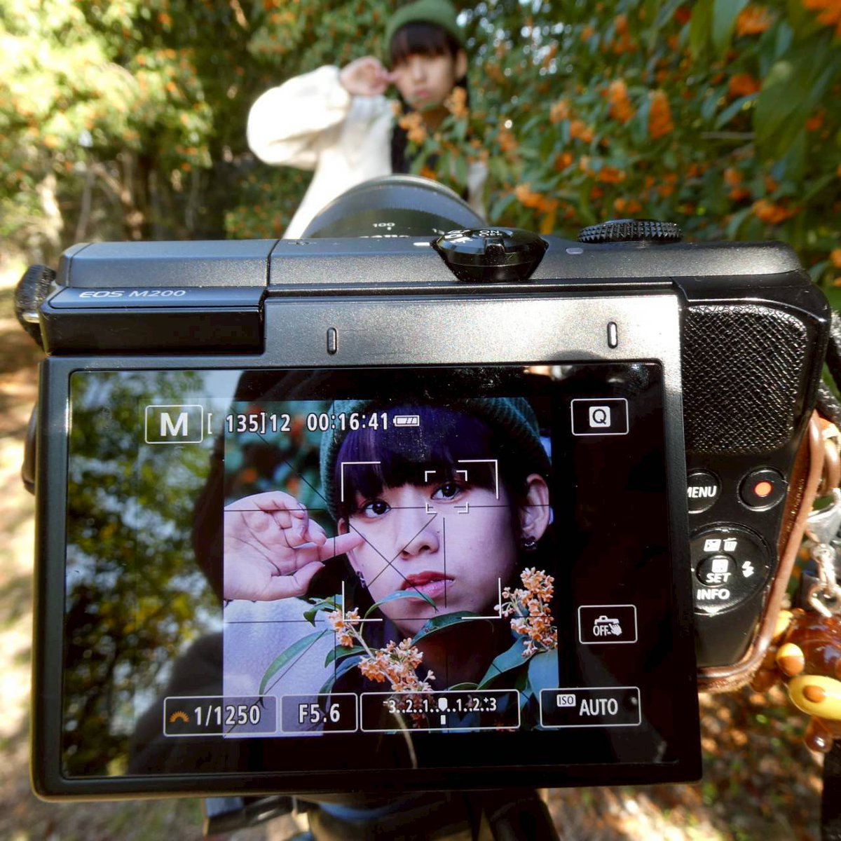 EOS_aze's tweet photo. photo by.. @tanzanite_4 📷´- https://t.co/VBWgdVzGLq