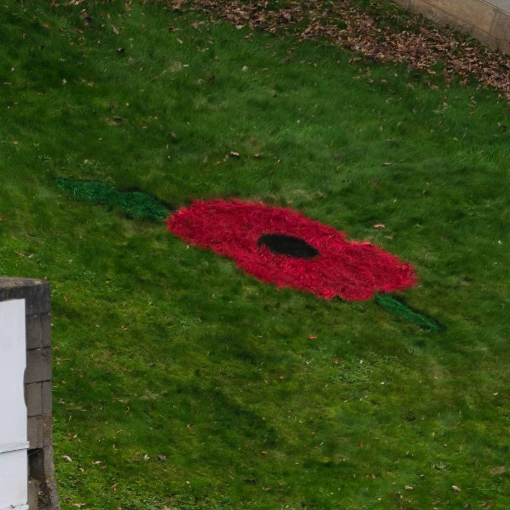 🌺 🙏🏼 LEST WE FORGET |

This is our opportunity to remember the service and sacrifice of the armed forces.

We will have a rendition of The Last Post followed by 2 minutes silence that will end on the referee's whistle.

#Shaymen | LD