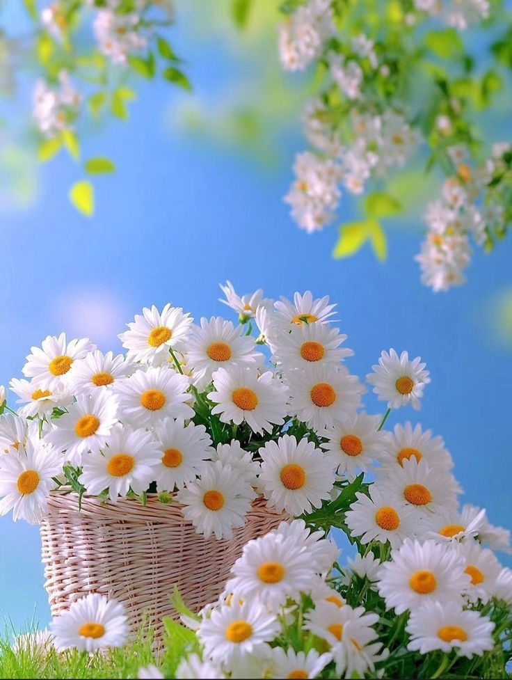 ____flowers__'s tweet photo. https://t.co/1pgYqQ0aoJ